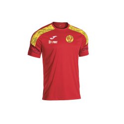 Maillot Officiel ASFELD