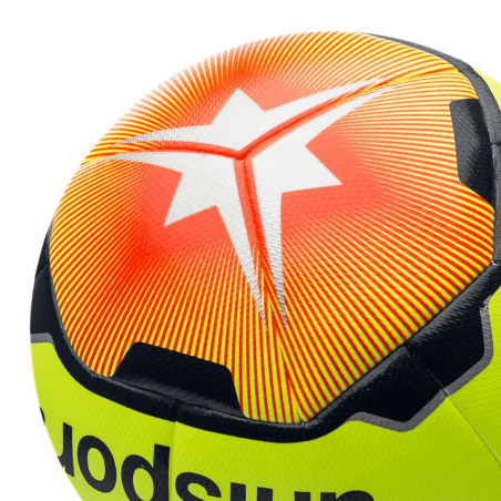 Ballon de football Elysia Pro Training 2.0 Ligue 1 Uhlsport