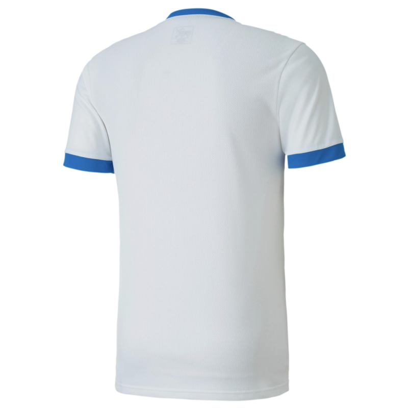 Puma TeamGoal Match Day